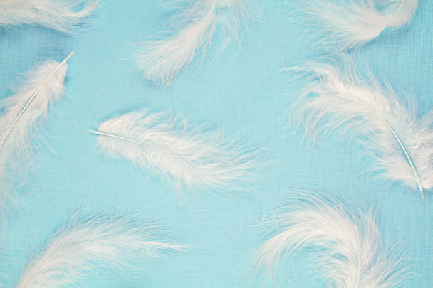Patrón suave suave plumas blancas sobre fondo pastel
 - Foto, Imagen