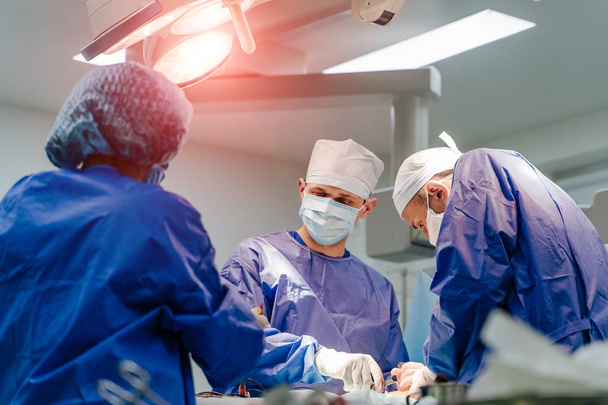 Medical team performing operation. Group of surgeon at work in operating theatre - Foto, Imagen