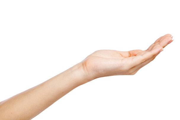 жіноча рука ізольована на білому тлі
 - Фото, зображення