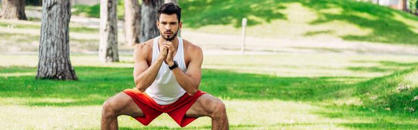 panoramic shot of athletic bearded man training on grass in park  - Foto, immagini