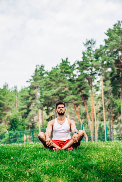 handsome bearded man sitting in crossed legs on green lawn - Photo, Image