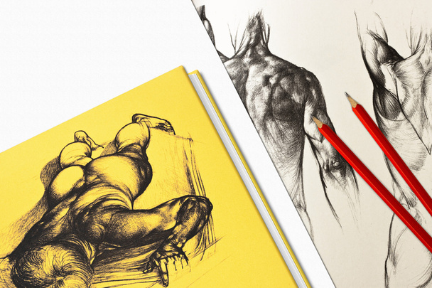 Людського тіла анатомії образотворчого мистецтва креслення - Фото, зображення