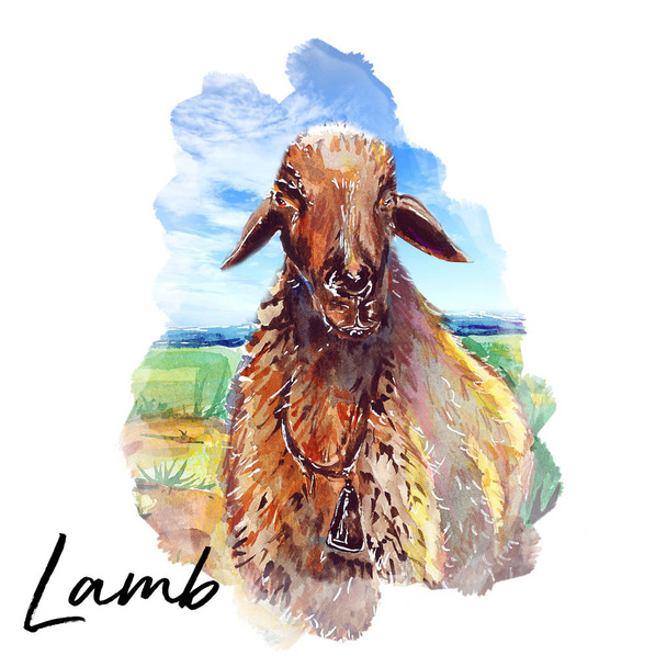 old Cypriot, lamb, watercolor, illustration art - Фото, изображение