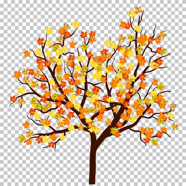 Φθινόπωρο (φθινόπωρο) φόντο σφενδάμου - Διάνυσμα, εικόνα