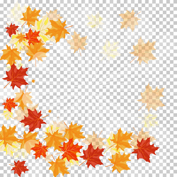 Fall (Autumn) Maple Background - Vector, afbeelding
