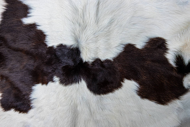  brown Cow skin coat with fur black white and brown spots - Photo, Image