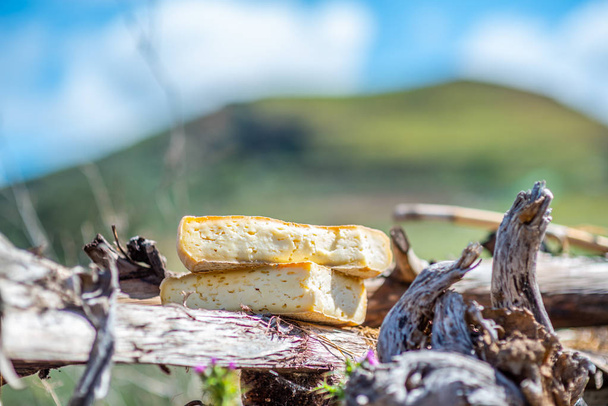 Zachte kaas porties op een houten tak met wazig zomer landschap op de achtergrond  - Foto, afbeelding