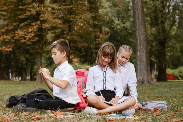 Crianças em idade escolar fazendo lição de casa na natureza.Crianças em idade escolar se divertem
  - Foto, Imagem