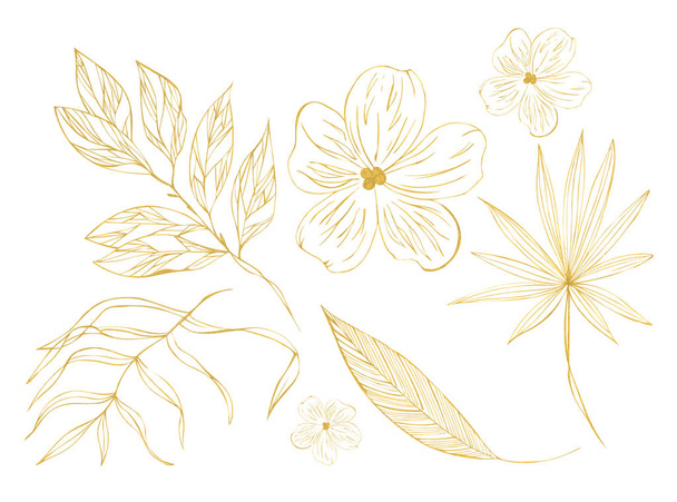 Illustration Zeichnung Skizze orangefarbene Umrissblätter exotischer Pflanzen auf einer weißen isolierten Schicht als Set - Foto, Bild