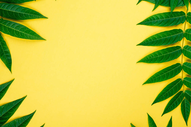 Abstract framerand van Tropic groene bladeren op gele achtergrond, minimal, platte lay, bovenaanzicht, kopieer ruimte voor tekst - Foto, afbeelding