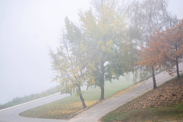 Тропы в городском парке возле реки с красочными деревьями в тумане, осенний пейзаж
 - Фото, изображение