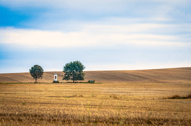 dos árboles, una capilla en un campo segado
 - Foto, Imagen