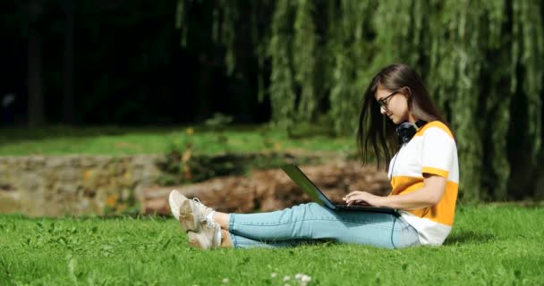 park içinde laptop üzerinde çalışan kadın - Video, Çekim