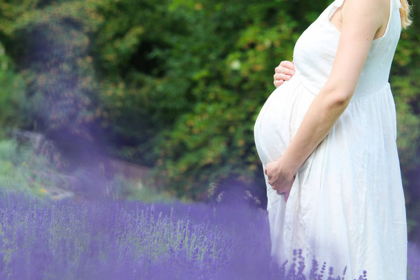 Těhotná žena pózuje na levandulovém poli. Dotýkám se jejího břicha. Symbol pro mateřství, rodinu, péči a lásku. - Fotografie, Obrázek