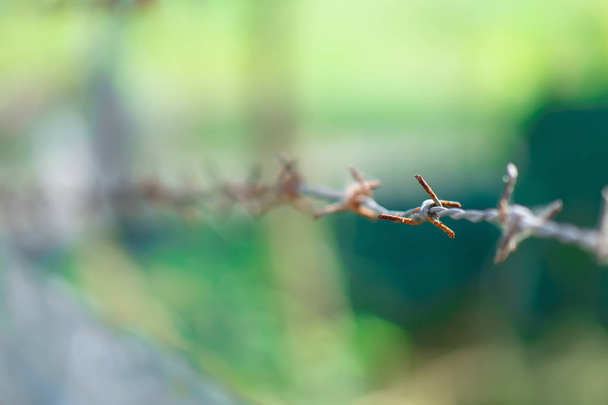 Rusty barbed wire fence for outdoor - Photo, Image
