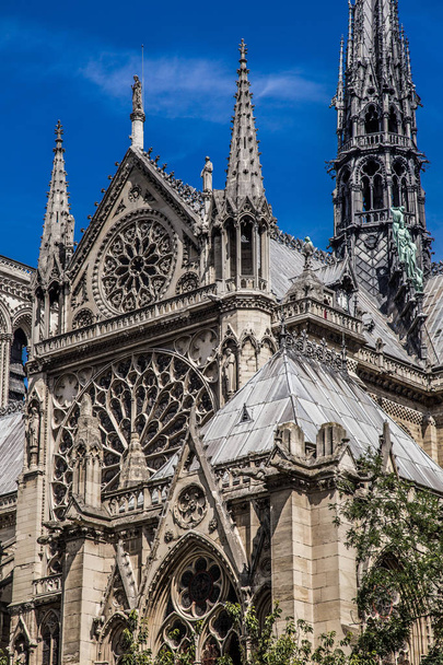 Notre de Dame de Paris Cathedral in France - Fotoğraf, Görsel