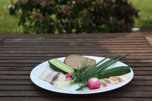 Salty bacon, rye bread and fresh vegetables, green onions, red radish, green dill, cucumber in a plate on a wooden table against a green garden - Valokuva, kuva