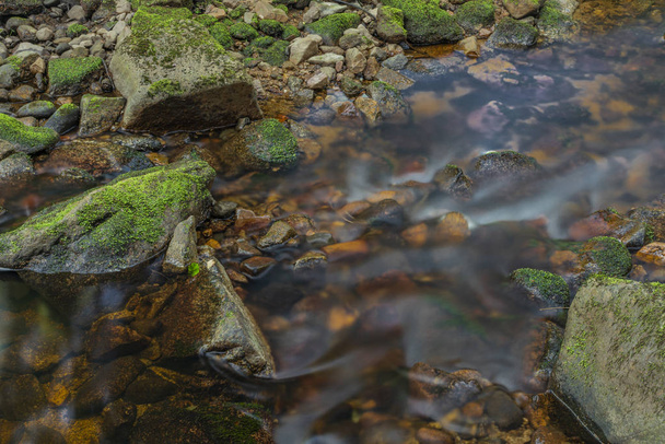 Bystrina creek in summer nice morning in Krusne mountains near Sokolov town - Foto, Imagem