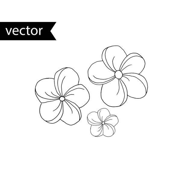 Illustration vectorielle des contours des plantes tropicales. Simple noir et
  - Vecteur, image