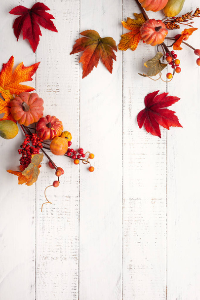 Festive autumn decor from pumpkins, berries and leaves on a whit - Foto, imagen