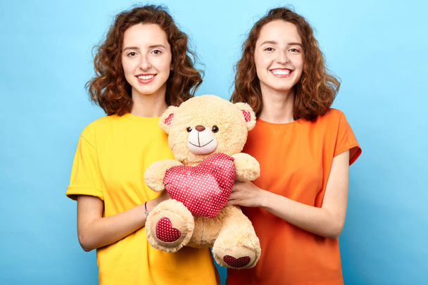 Close-up beauty portrait of two beautiful young women holding teddy bear - Foto, Imagen