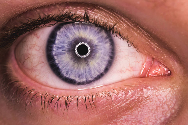 Macro photo de l'œil d'un homme. il est d'une couleur bleu vif
 - Photo, image