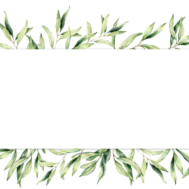 オリーブの枝と水彩のバナー。白い背景に隔離された手描きの植物の境界線。デザイン、プリント、ファブリックまたは背景のための花のイラスト. - 写真・画像