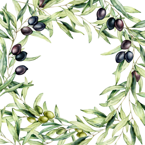 Watercolor border with green and black olive berries and branch. Hand painted botanical card with olives isolated on white background. Floral illustration for design, print, fabric or background. - Photo, Image