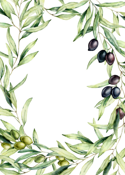 黒と緑のオリーブベリーと枝と水彩画の境界線。白い背景に隔離されたオリーブと手描きの植物カード。デザイン、プリント、ファブリックまたは背景のための花のイラスト. - 写真・画像
