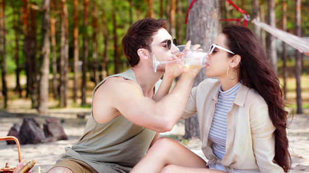 šťastný pár pít bíle a líbání při odpočinku na pláži v parku - Záběry, video