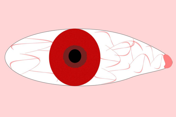 Human Albino Eye - Photo, Image