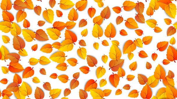シームレスな秋は、白い背景に隔離された水平バナーを葉します。黄金の秋の秋の葉のパターンを持つ広告テンプレート。ベクトルイラスト - ベクター画像