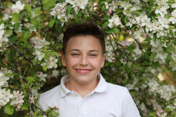 Laughing boy with blossoms of an apple tree - Foto, Imagem