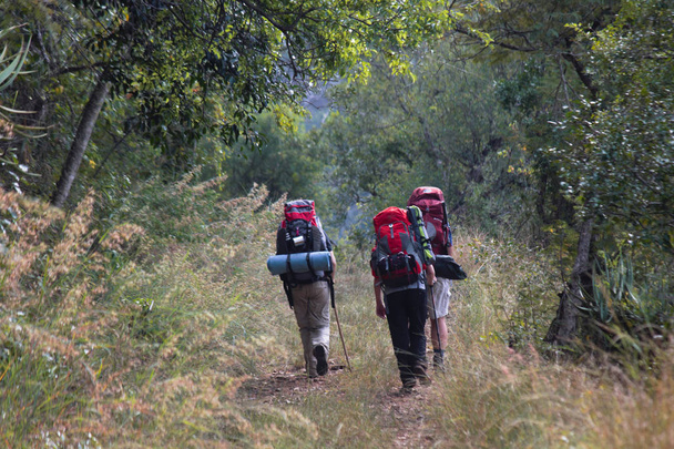 Escursionisti Marching Up A Forest Hill Trail, Limpopo, Sud Africa
 - Foto, immagini