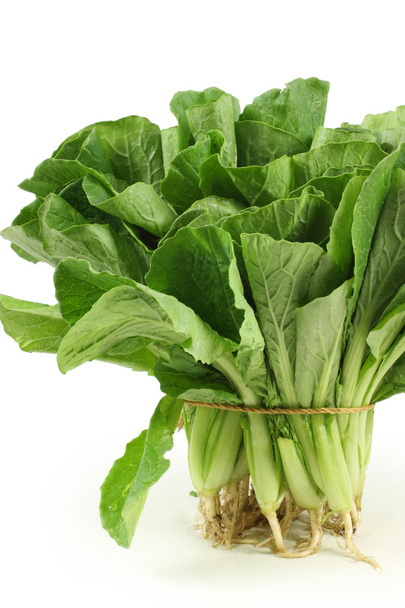 Small Chinese cabbage on white background - Photo, Image
