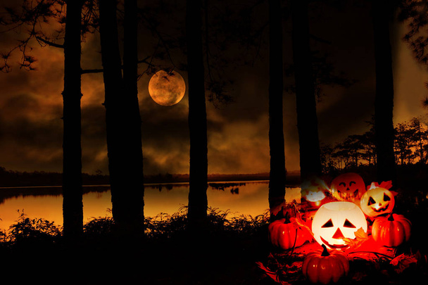Linterna de calabaza de Halloween al aire libre con árbol y luna llena en
 - Foto, imagen