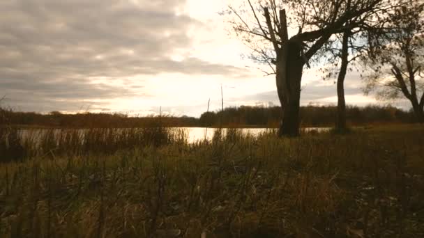 beautiful sky with clouds over autumn park and lake. Slow motion. park in the fall. tree with yellow foliage by the lake. - Footage, Video