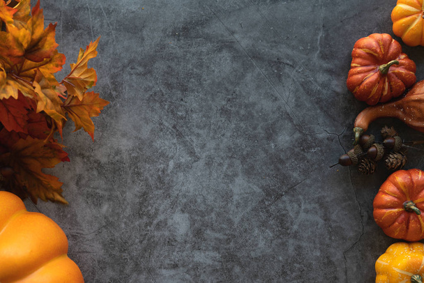 Thanksgiving background with pumpkins, leaves and nuts on a grey cement background. - Foto, Bild