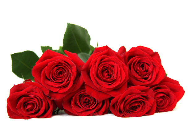 Sept roses rouges
 - Photo, image