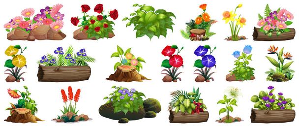 Large set of colorful flowers on rocks and wood - Vector, Image