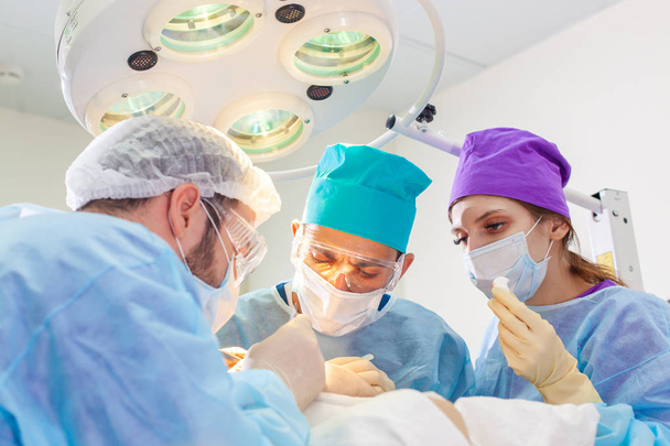 Baldness treatment. Hair transplant. Surgeons in the operating room carry out hair transplant surgery. Surgical technique that moves hair follicles from a part of the head. - Photo, Image