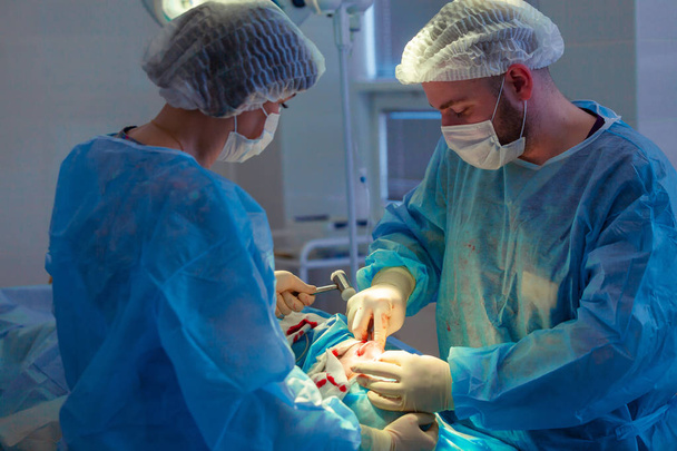 Medical Team Performing Surgical Operation in Modern Operating Room. Rhinoplasty - Photo, Image