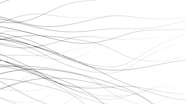 Fundo gráfico de linhas fluidas em movimento dinâmico de onda preto sobre branco
. - Filmagem, Vídeo