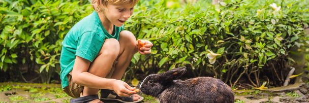Poika ruokkii jänistä. Kosmetiikkakoe kanieläimellä. Julmuus vapaa ja lopettaa eläinten väärinkäytön käsite BANNER, LONG FORMAT
 - Valokuva, kuva