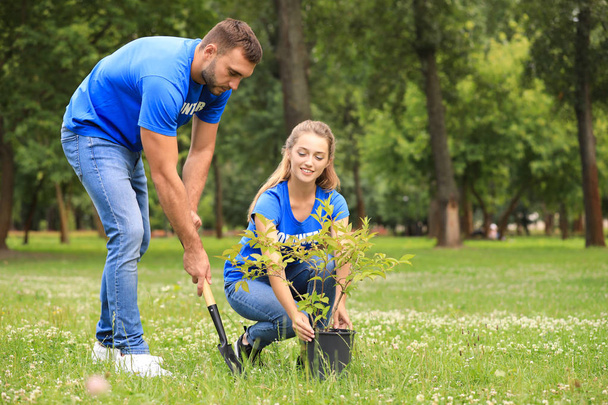 Young volunteers planting tree in green park. Charity work - 写真・画像