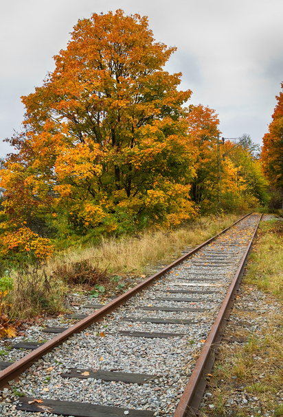 Abandoned railroad. - Foto, Imagen