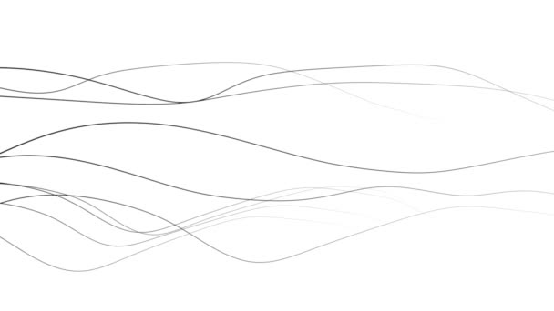 Fond graphique de fines lignes ondulées en mouvement - noir sur blanc
.  - Séquence, vidéo