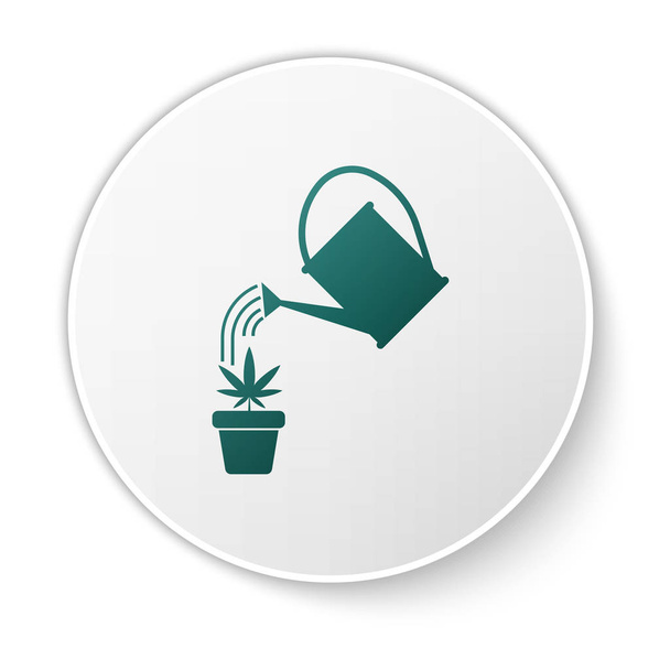 Groene gieter kan water druppels boven marihuana of cannabisplant in pot icon geïsoleerd op witte achtergrond. Marihuana groeiend concept. Witte cirkel knop. Vector illustratie - Vector, afbeelding