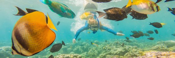Happy woman in snorkeling mask dive underwater with tropical fishes in coral reef sea pool. Travel lifestyle, water sport outdoor adventure, swimming lessons on summer beach holiday BANNER, LONG - Photo, Image