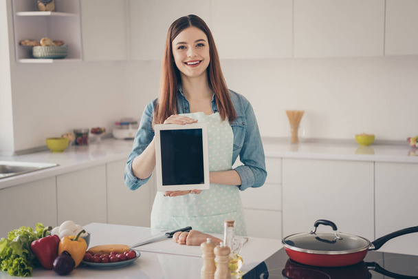 Photo of attentive wife wear dotted apron presenting new model e-reader best help kitchen duties - Fotoğraf, Görsel